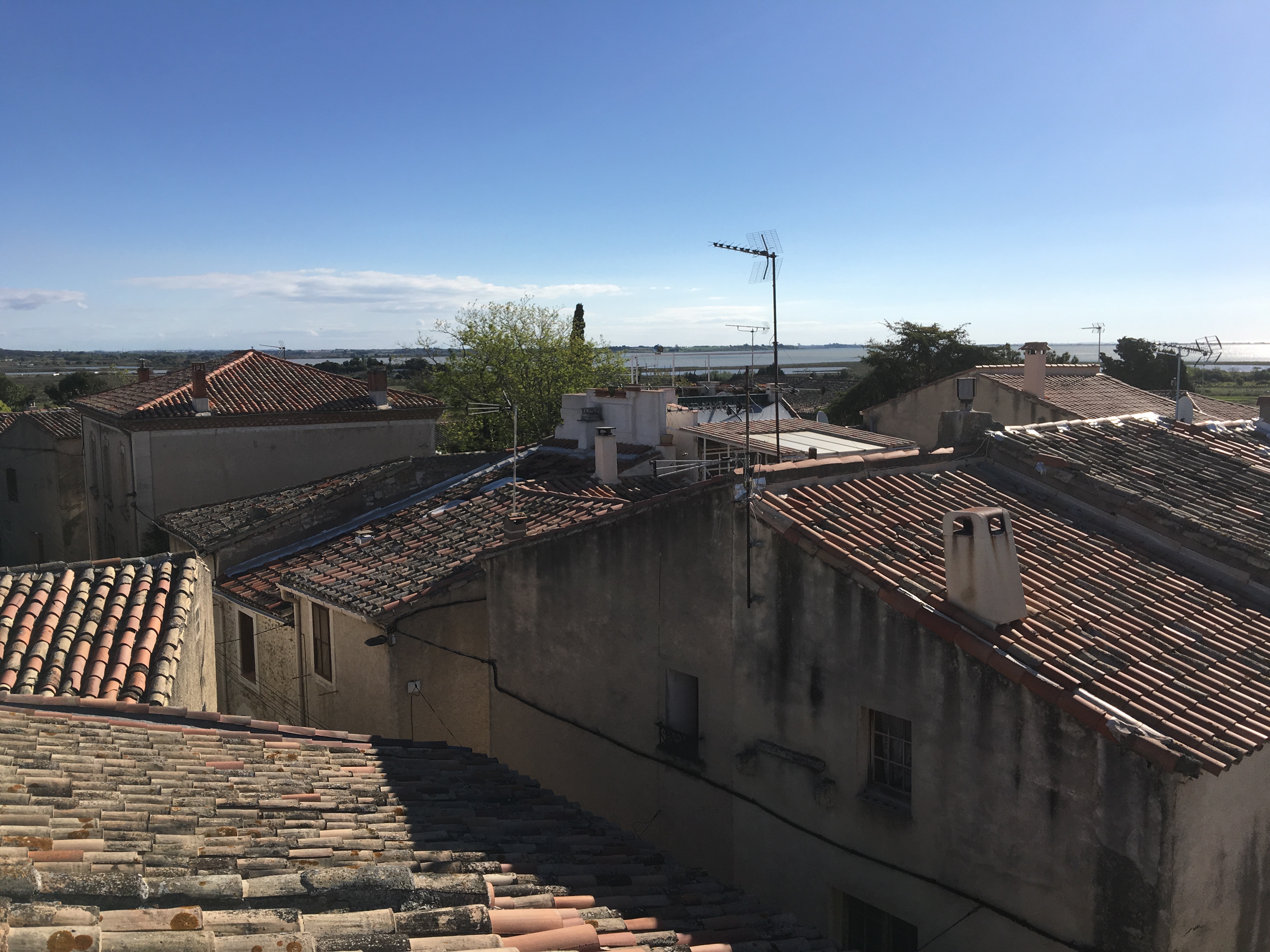 View over the roof tops